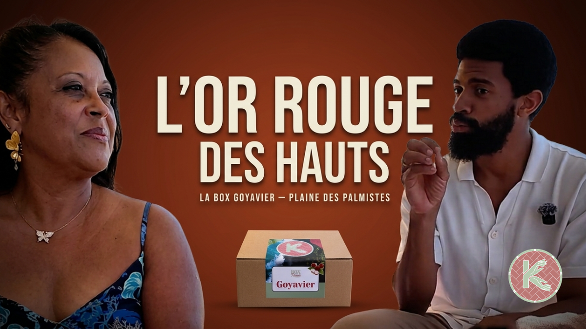 L'or rouge de la Plaine des Palmistes : Madame Albuffy nous présente la Box Goyavier